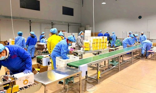 安图经济开发区医药食品产业园一季度开门红 网络信息技术开发驱动新增长