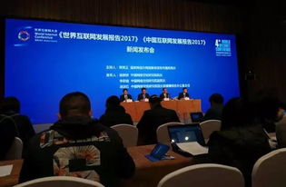 齐鲁网翼崛起 《2017中国互联网发展报告》蓝皮书发布，山东信息技术开发跻身第八